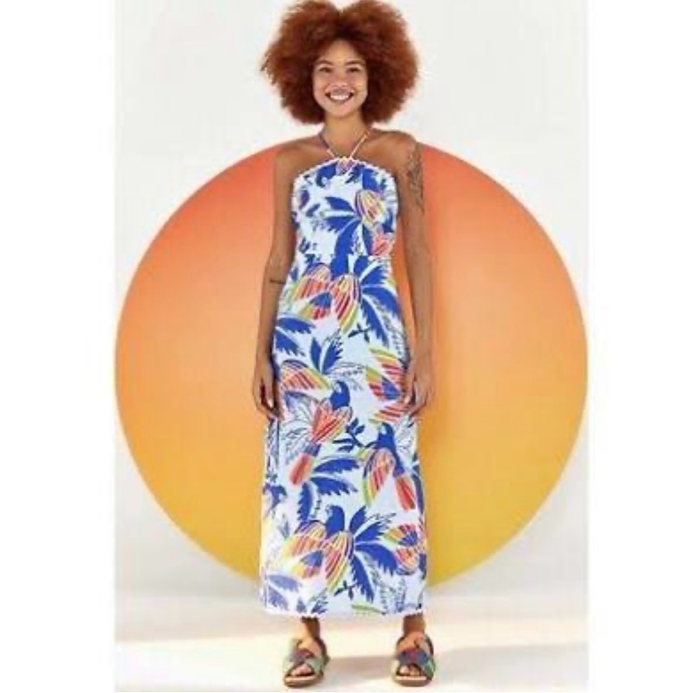 EUC farm rio blue birds midi dress